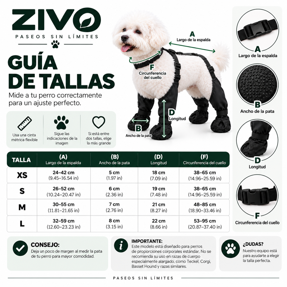 Botas Impermeables para Perro